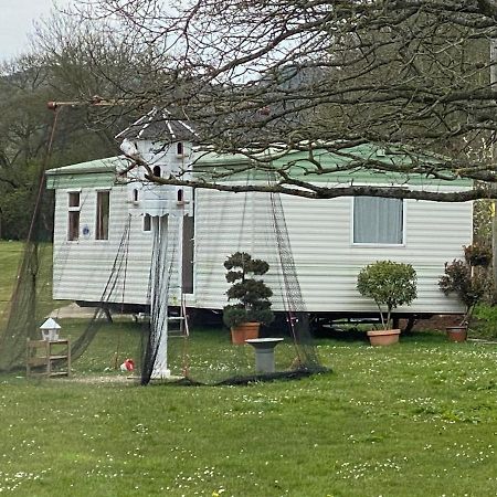 The Nest - Family Friendly Caravan Nr Glastonbury & Street Somerton  Exterior foto