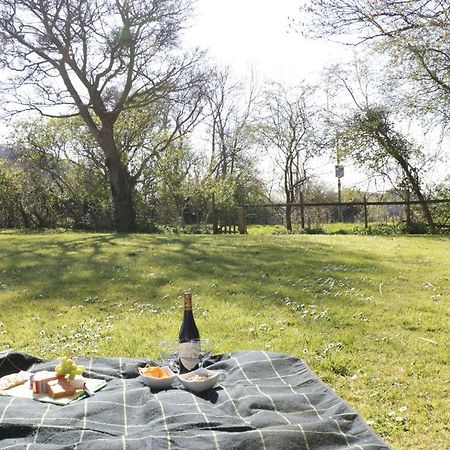 The Nest - Family Friendly Caravan Nr Glastonbury & Street Somerton  Exterior foto